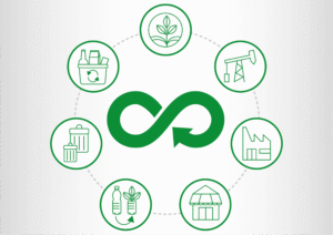 Como incorporar a economia circular no cotidiano para economizar em meio a custos elevados